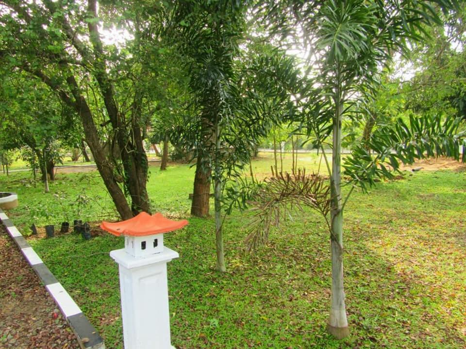 Hotel Tree Garden Wilpaththu Nochchiyagma Anuradhapura Nochchiyagama Buitenkant foto