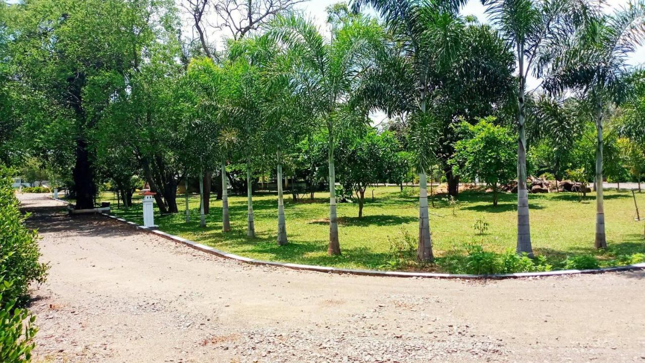Hotel Tree Garden Wilpaththu Nochchiyagma Anuradhapura Nochchiyagama Buitenkant foto