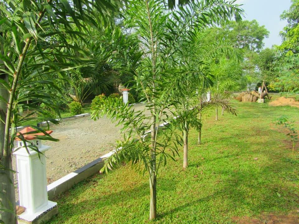 Hotel Tree Garden Wilpaththu Nochchiyagma Anuradhapura Nochchiyagama Buitenkant foto