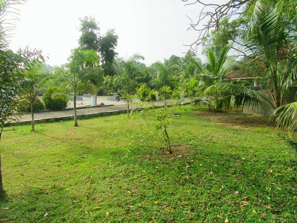 Hotel Tree Garden Wilpaththu Nochchiyagma Anuradhapura Nochchiyagama Buitenkant foto