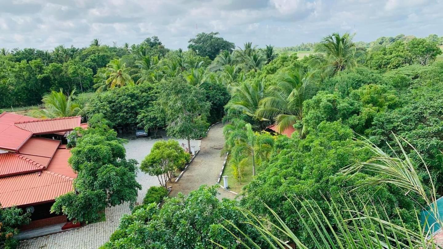 Hotel Tree Garden Wilpaththu Nochchiyagma Anuradhapura Nochchiyagama Buitenkant foto
