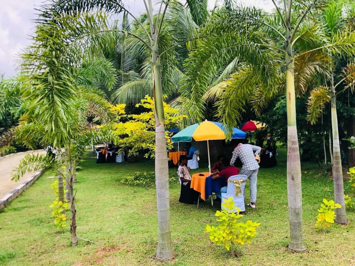 Hotel Tree Garden Wilpaththu Nochchiyagma Anuradhapura Nochchiyagama Buitenkant foto