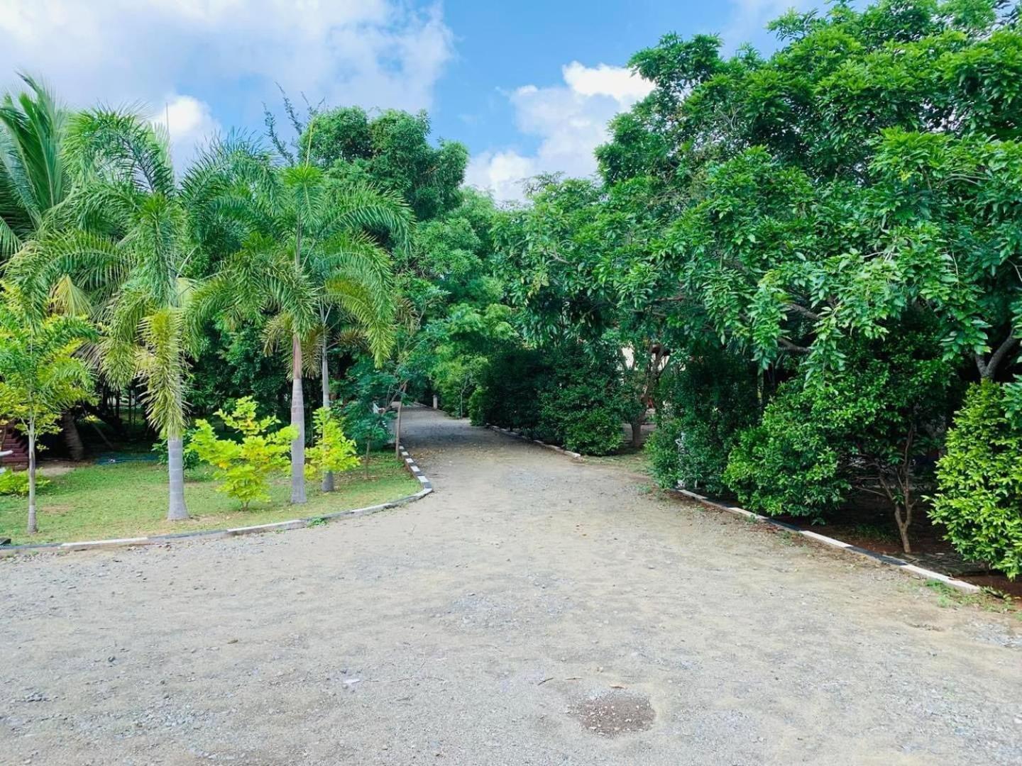 Hotel Tree Garden Wilpaththu Nochchiyagma Anuradhapura Nochchiyagama Buitenkant foto